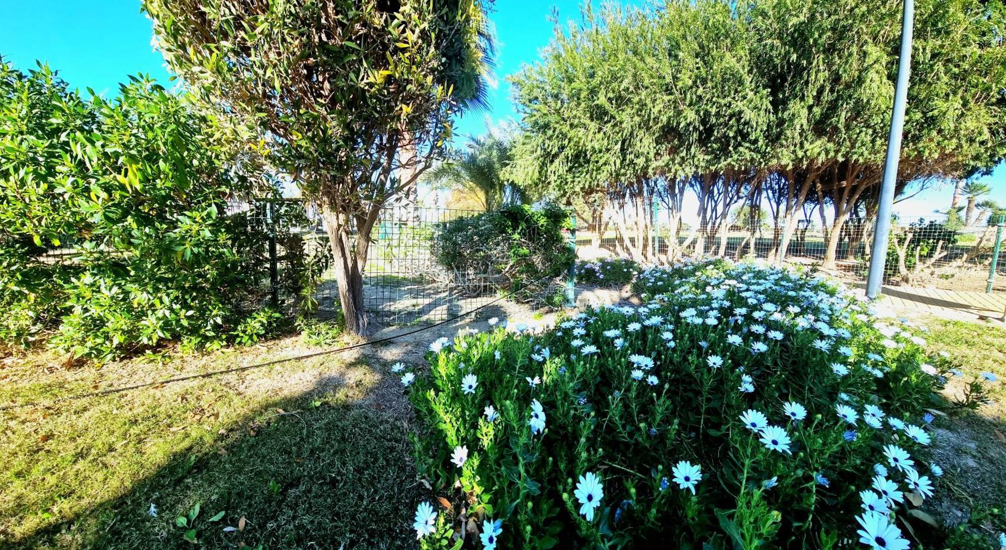 1 Con Vistas Al Mar Jardines De Nuevo Apartament Vera
